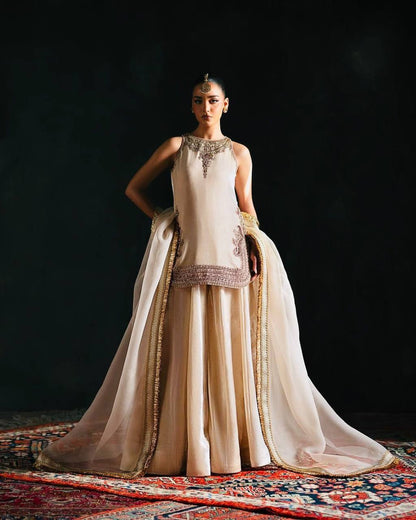 Jenny Designer Fancy Viscose Velvet Suit