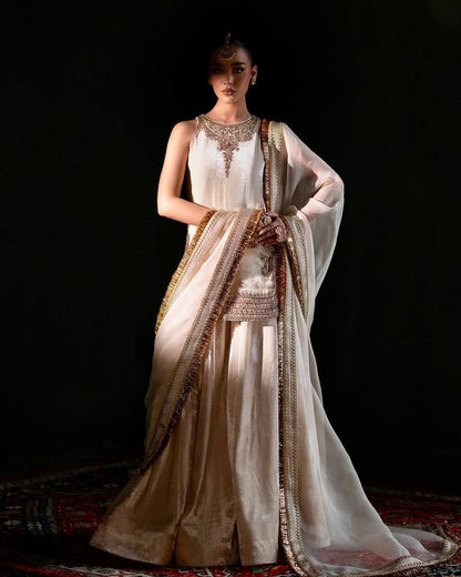 Jenny Designer Fancy Viscose Velvet Suit